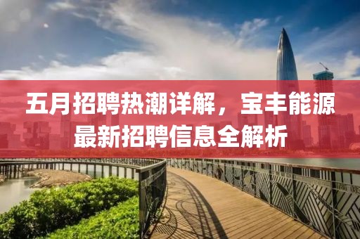五月招聘熱潮詳解，寶豐能源最新招聘信息全解析