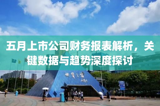 五月上市公司財務報表解析，關鍵數據與趨勢深度探討