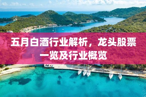 五月白酒行業(yè)解析，龍頭股票一覽及行業(yè)概覽