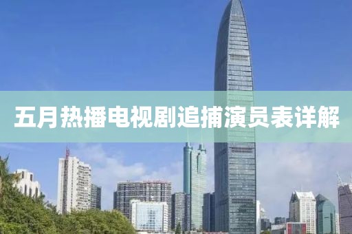 五月熱播電視劇追捕演員表詳解