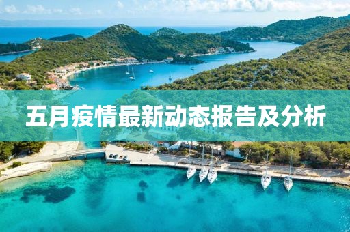 五月疫情最新動態報告及分析