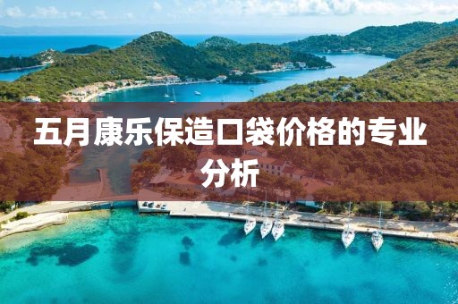 五月康樂保造口袋價格的專業分析