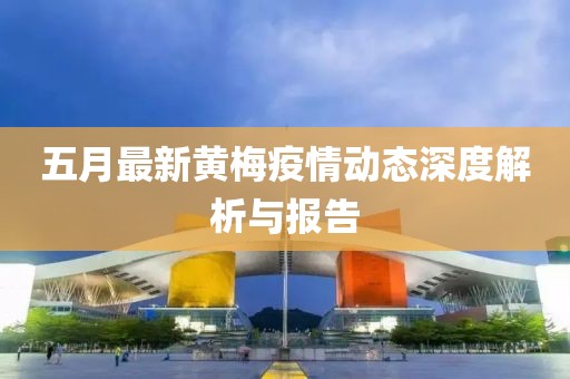 五月最新黃梅疫情動態(tài)深度解析與報告