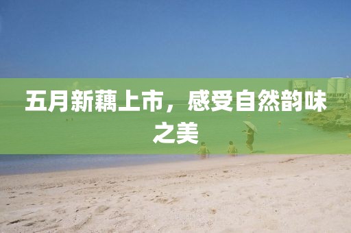 汽車陪練 第2頁