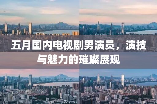 五月國內電視劇男演員，演技與魅力的璀璨展現
