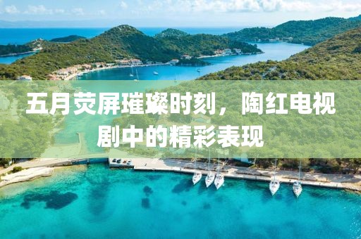 五月熒屏璀璨時刻，陶紅電視劇中的精彩表現
