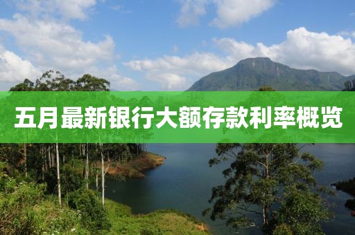 五月最新銀行大額存款利率概覽