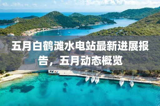 五月白鶴灘水電站最新進展報告，五月動態(tài)概覽