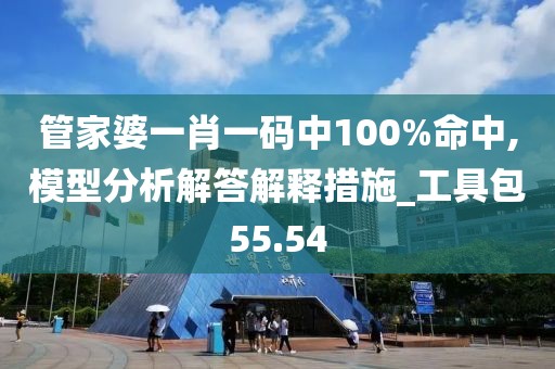 管家婆一肖一碼中100%命中,模型分析解答解釋措施_工具包55.54