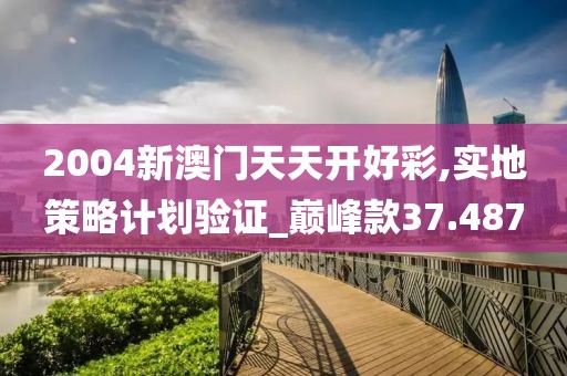 2004新澳門天天開好彩,實地策略計劃驗證_巔峰款37.487