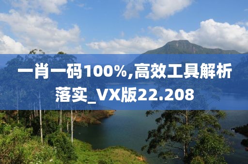 一肖一碼100%,高效工具解析落實_VX版22.208