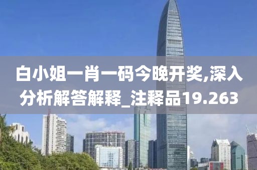 白小姐一肖一碼今晚開獎,深入分析解答解釋_注釋品19.263