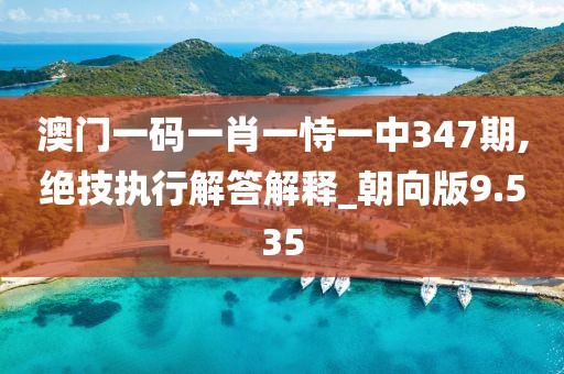 澳門一碼一肖一恃一中347期,絕技執(zhí)行解答解釋_朝向版9.535