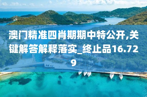 澳門精準四肖期期中特公開,關鍵解答解釋落實_終止品16.729