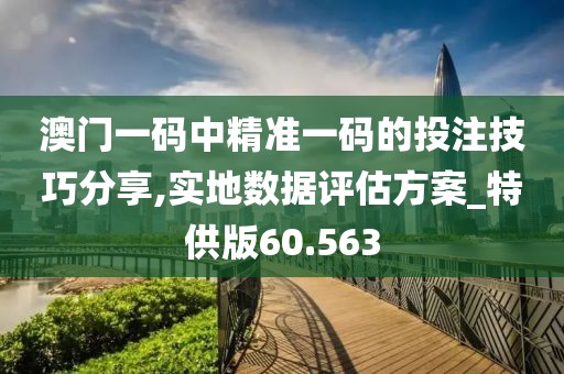 澳門一碼中精準一碼的投注技巧分享,實地數據評估方案_特供版60.563