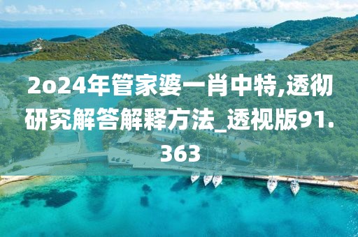 2o24年管家婆一肖中特,透徹研究解答解釋方法_透視版91.363