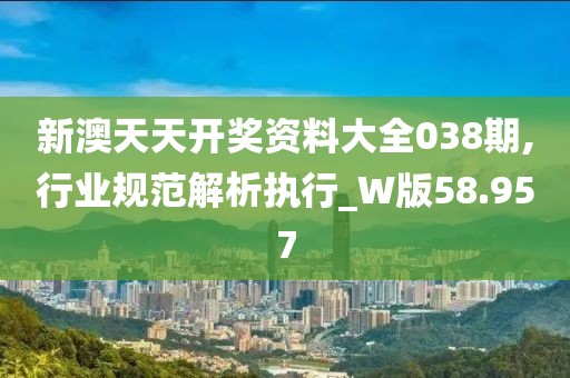 新澳天天開獎資料大全038期,行業規范解析執行_W版58.957