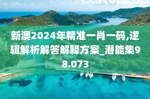 新澳2024年精準一肖一碼,邏輯解析解答解釋方案_潛能集98.073