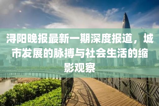 潯陽(yáng)晚報(bào)最新一期深度報(bào)道，城市發(fā)展的脈搏與社會(huì)生活的縮影觀察