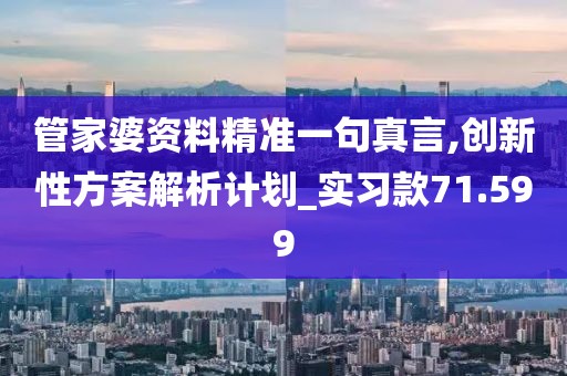 管家婆資料精準一句真言,創新性方案解析計劃_實習款71.599