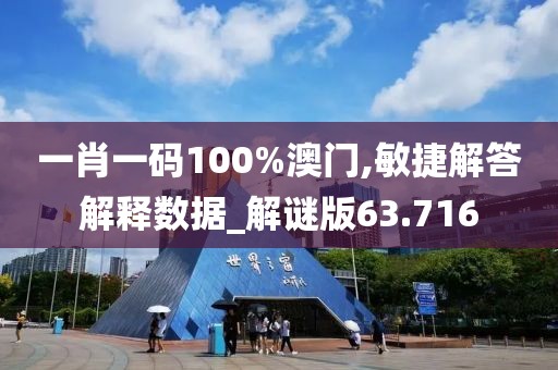 一肖一碼100%澳門,敏捷解答解釋數據_解謎版63.716