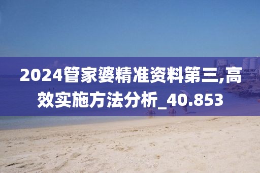 2024管家婆精準資料第三,高效實施方法分析_40.853
