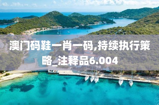 澳門碼鞋一肖一碼,持續執行策略_注釋品6.004