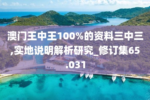 澳門王中王100%的資料三中三,實地說明解析研究_修訂集65.031