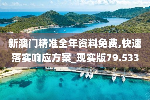 新澳門精準全年資料免費,快速落實響應方案_現實版79.533