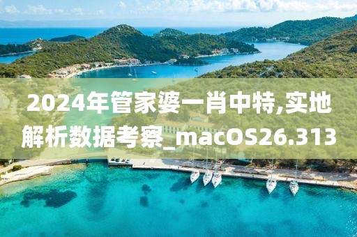 2024年管家婆一肖中特,實(shí)地解析數(shù)據(jù)考察_macOS26.313