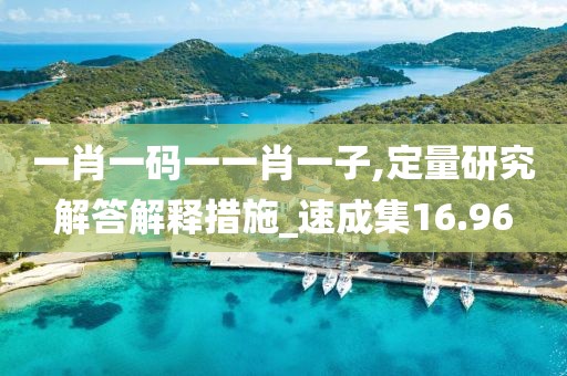 一肖一碼一一肖一子,定量研究解答解釋措施_速成集16.96