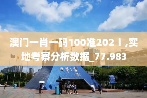 澳門一肖一碼100準202ⅰ,實地考察分析數據_77.983
