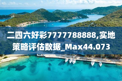 二四六好彩7777788888,實地策略評估數據_Max44.073