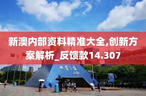 新澳內部資料精準大全,創新方案解析_反饋款14.307