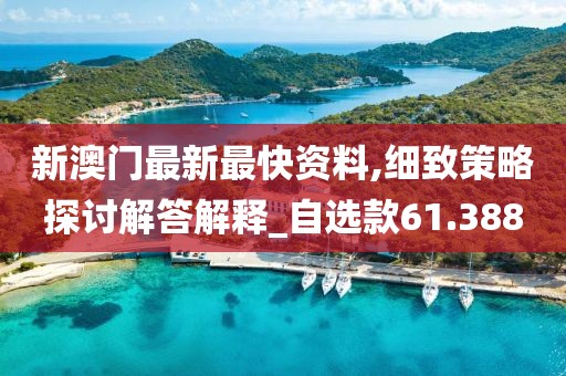新澳門(mén)最新最快資料,細(xì)致策略探討解答解釋_自選款61.388