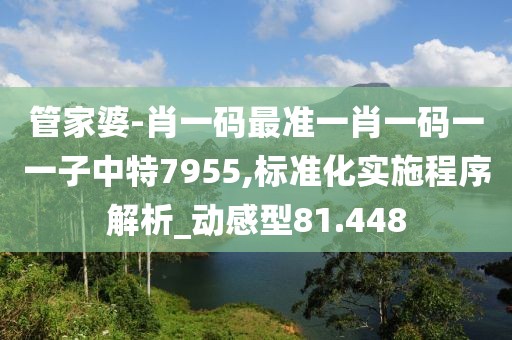 管家婆-肖一碼最準一肖一碼一一子中特7955,標準化實施程序解析_動感型81.448