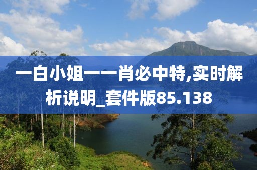 一白小姐一一肖必中特,實時解析說明_套件版85.138