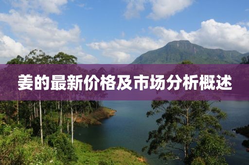 姜的最新價格及市場分析概述