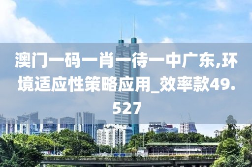 澳門一碼一肖一待一中廣東,環(huán)境適應(yīng)性策略應(yīng)用_效率款49.527
