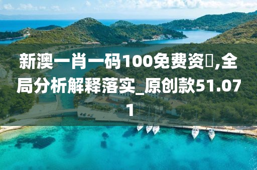 新澳一肖一碼100免費資枓,全局分析解釋落實_原創款51.071