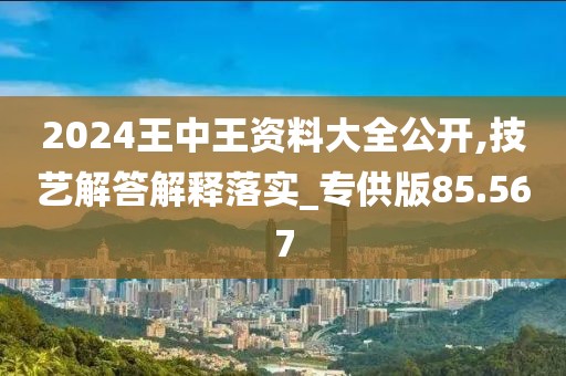 2024王中王資料大全公開,技藝解答解釋落實_專供版85.567