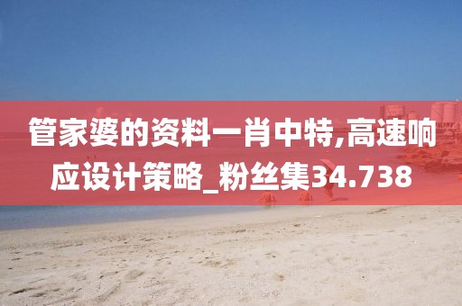 管家婆的資料一肖中特,高速響應設計策略_粉絲集34.738