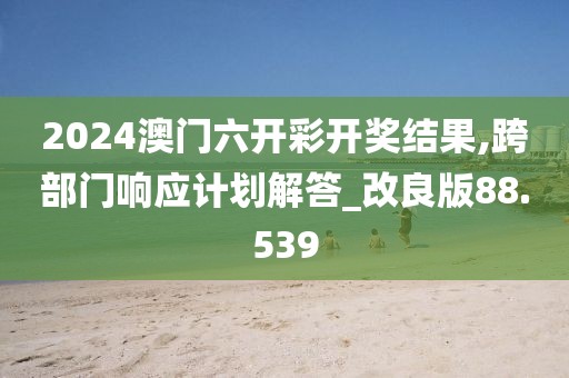 2024澳門六開彩開獎結果,跨部門響應計劃解答_改良版88.539
