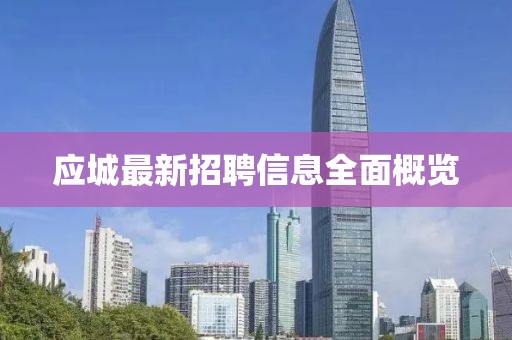 應城最新招聘信息全面概覽