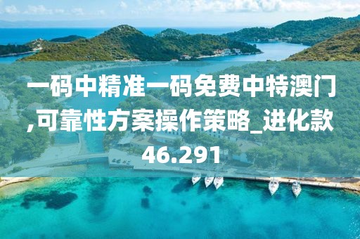 一碼中精準一碼免費中特澳門,可靠性方案操作策略_進化款46.291