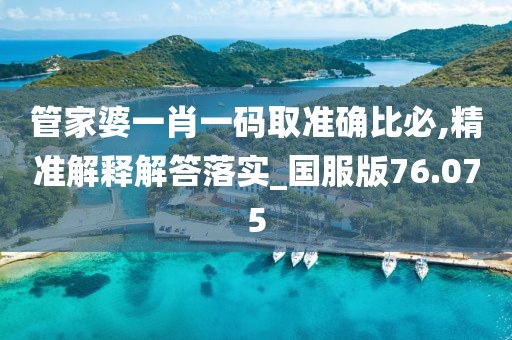 管家婆一肖一碼取準確比必,精準解釋解答落實_國服版76.075