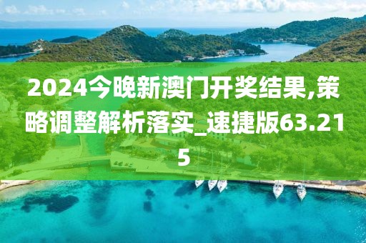 2024今晚新澳門開獎結果,策略調整解析落實_速捷版63.215