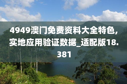 4949澳門免費(fèi)資料大全特色,實(shí)地應(yīng)用驗(yàn)證數(shù)據(jù)_適配版18.381