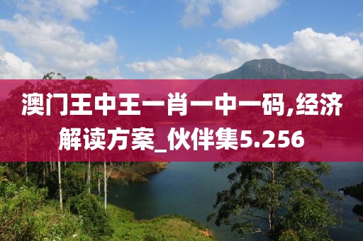 澳門王中王一肖一中一碼,經(jīng)濟解讀方案_伙伴集5.256