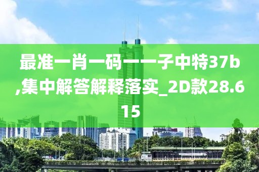 最準一肖一碼一一子中特37b,集中解答解釋落實_2D款28.615